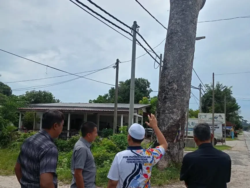 Kerja Penebangan Pokok Berisiko Di Laluan Pengkalan Atap–Mengabang Lekor Dipergiat
