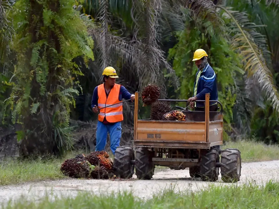 FELDA, FGV Akui Tanah Adalah Bidang Kuasa Kerajaan Negeri