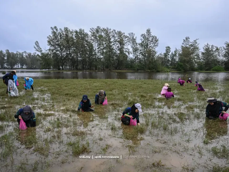 Festival Main Hujang Setiu 2026 Bakal Warnai Musim Tengkujuh Terengganu