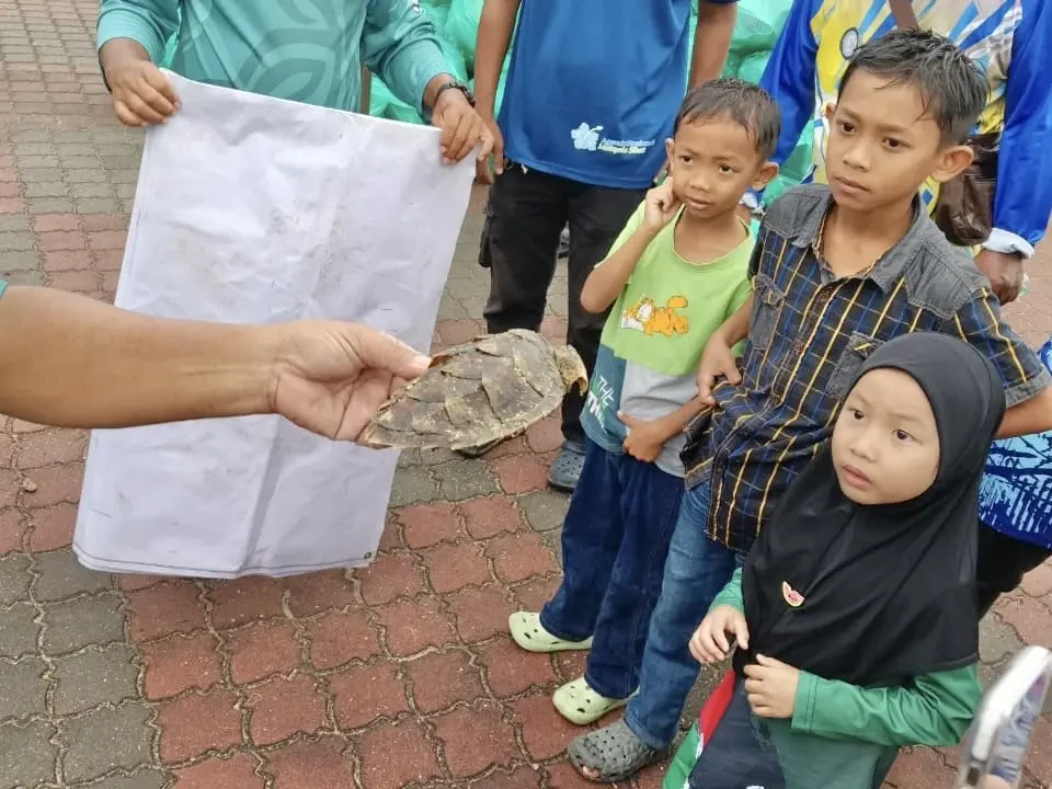 Bangkai Anak Penyu Ditemui Di Pantai Kelulut