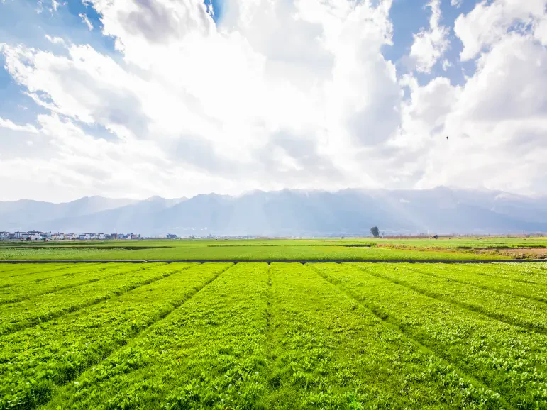 Harga Diesel Menggila, Terengganu Rangka Bantuan Segera Untuk Petani