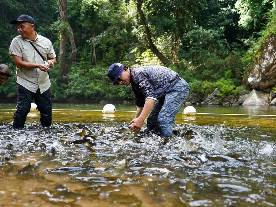 Kerajaan Negeri Siasat Punca Air Keruh Santuari Kelah