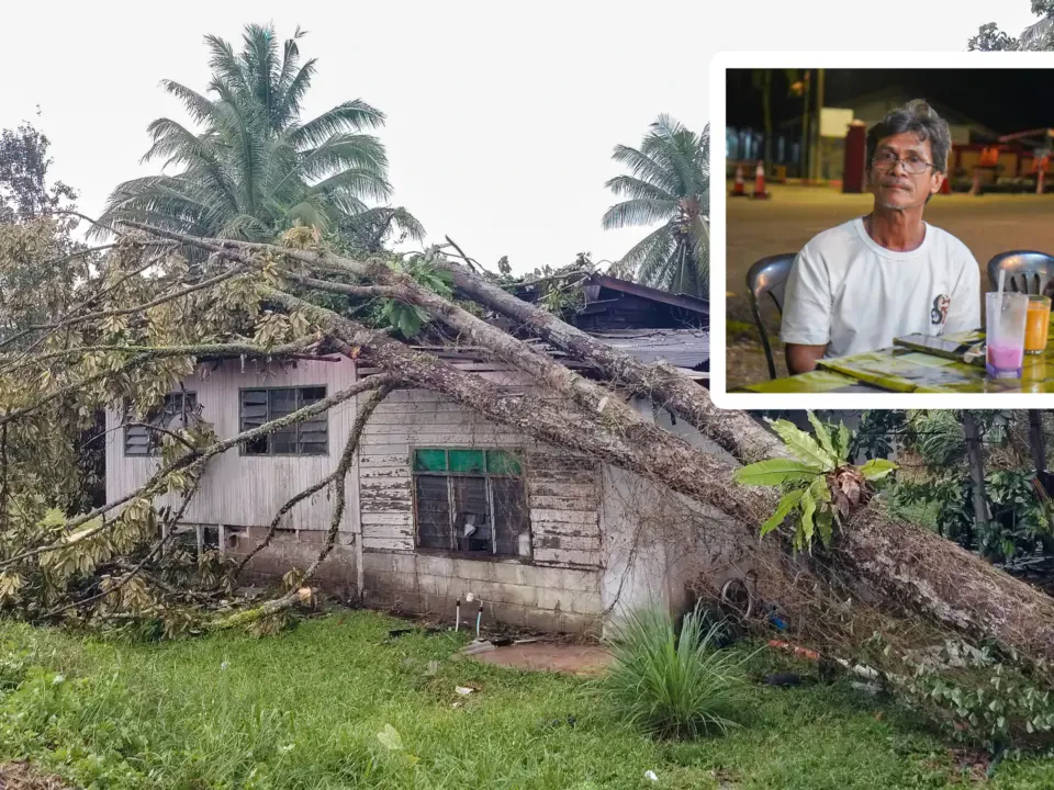 Pokok Hempap Rumah Depan Mata, Seminit Selepas Penghuni Keluar