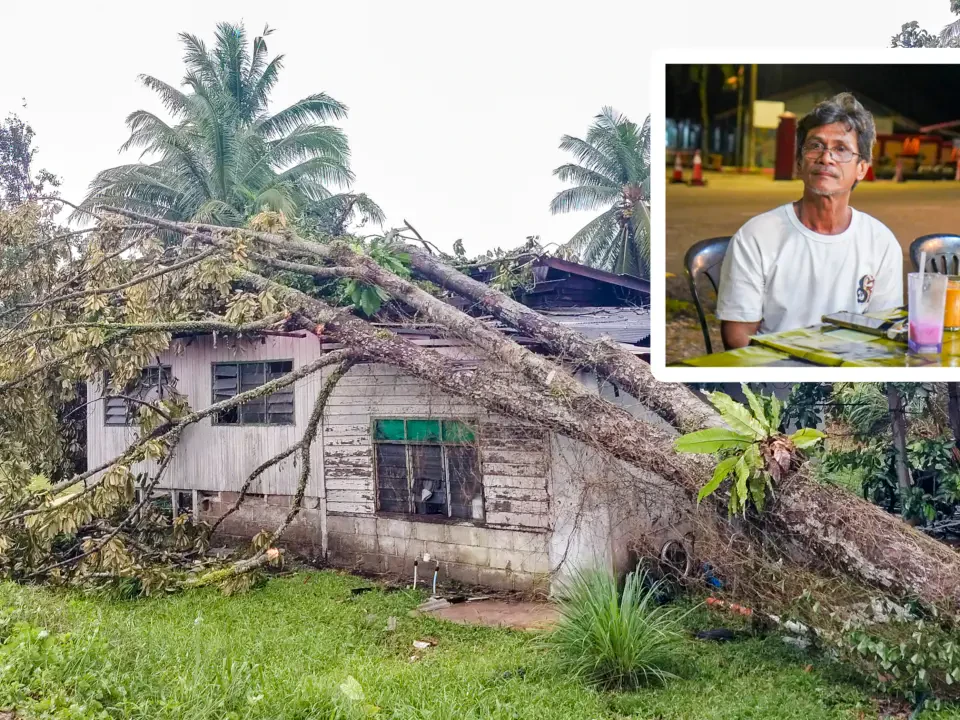 Pokok Hempap Rumah Depan Mata, Seminit Selepas Penghuni Keluar