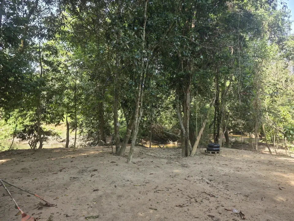 Kelangit Tawar Keunikan Pengalaman Berkhemah Dalam Hutan