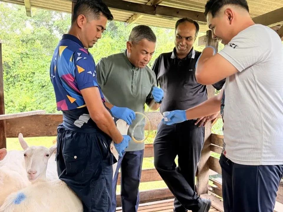 Pasukan Penyelidik UPM Kaji Masalah SARA Babitkan 30 Ladang Kambing Tenusu di Terengganu