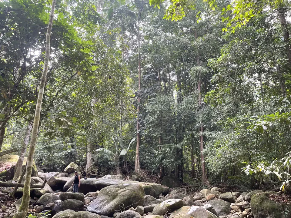 Air Terjun Menderu  Dinaik Taraf Menjelang Tahun Melawat Terengganu 2027