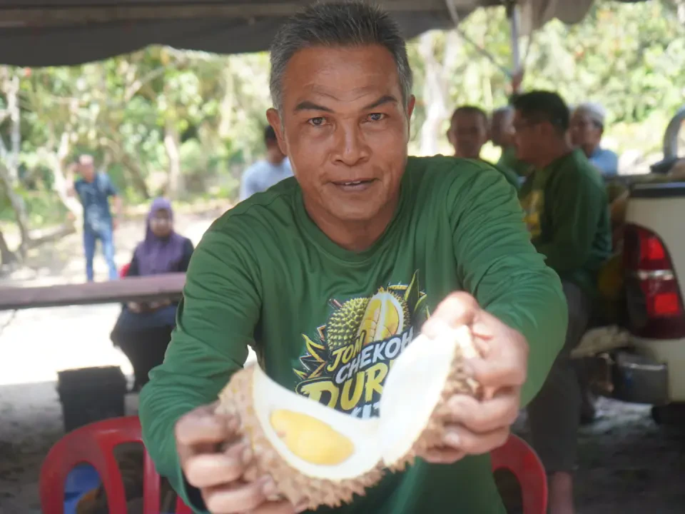600kg Durian, Jom Chekoh Durian Kijal Curi Tumpuan Pengunjung