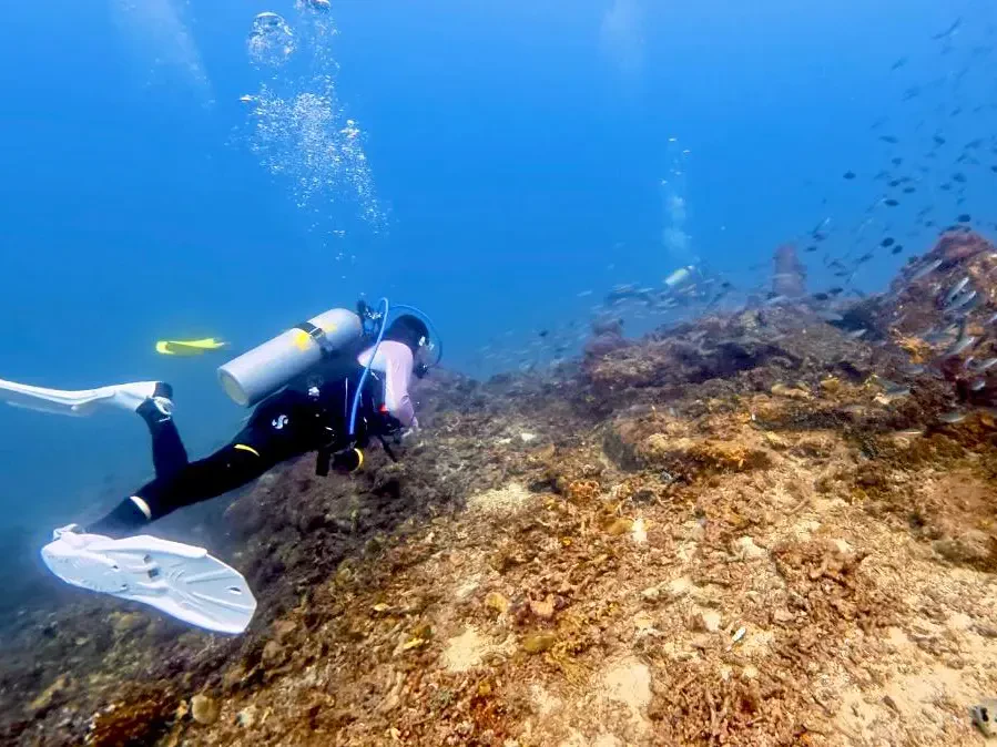 Empat Lokasi Snorkeling Pulau Redang Dicadang Tutup Dua Tahun