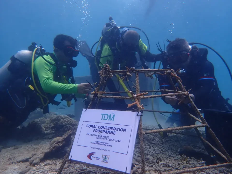 TDM Tanam 200 Fragmen Terumbu Karang Pelihara Ekosistem Marin Pulau Redang