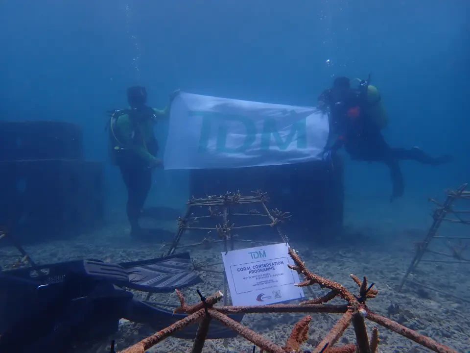 TDM Pulih Terumbu Karang Redang, Kerajaan Negeri Ajak Korporat Ikut Jejak