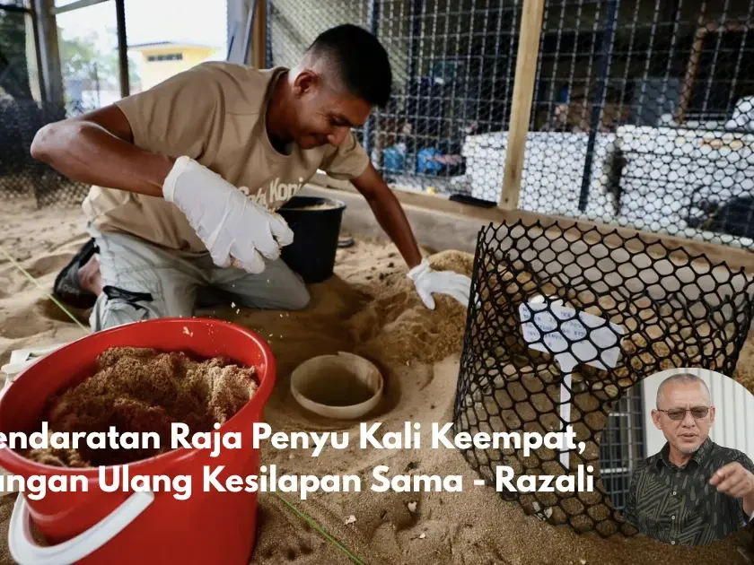 Pendaratan Raja Penyu Kali Keempat, Jangan Ulang Kesilapan Sama- Razali