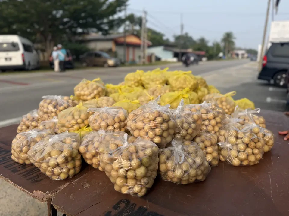 1.2 Tan Duku Habis Dalam Masa 30 Minit